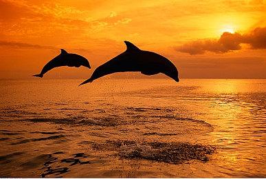 《英雄传说黎之轨迹Ⅱ》开场OP中文歌词版 10月27日发售