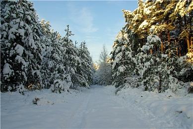 4月新游一览：《乐高星球大战：天行者传奇》《夜迴三》等